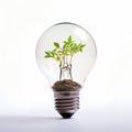 Energy saving light bulb covered in green grass. Concept of sustainable resources in white grey background Royalty Free Stock Photo
