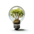 Energy saving light bulb covered in green grass. Concept of sustainable resources in white grey background Royalty Free Stock Photo