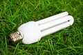 Energy saving light bulb in grass Royalty Free Stock Photo