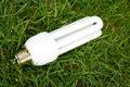 Energy saving light bulb in grass Royalty Free Stock Photo