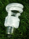 Energy saving light bulb on green grass Royalty Free Stock Photo