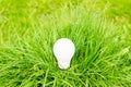 Energy saving light bulb on green grass background Royalty Free Stock Photo