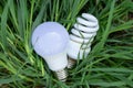 Energy-saving light bulb and green grass on the lawn close-up Royalty Free Stock Photo