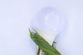 Energy-saving light bulb and green grass on the lawn close-up Royalty Free Stock Photo