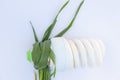 Energy-saving light bulb and green grass on the lawn close-up Royalty Free Stock Photo