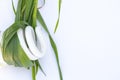 Energy-saving light bulb and green grass on the lawn close-up Royalty Free Stock Photo