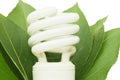 Energy saving light bulb on green leaves Royalty Free Stock Photo