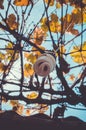 An energy-saving light bulb hangs in a vineyard in the courtyard of a rural house. Royalty Free Stock Photo