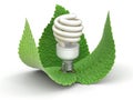 Energy Saving Light Bulb and leaves Royalty Free Stock Photo