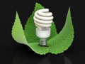 Energy Saving Light Bulb and leaves Royalty Free Stock Photo