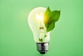 energy saving light bulb made with green leaves Royalty Free Stock Photo