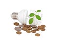 Energy saving light bulb, money and plant Royalty Free Stock Photo