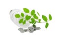 Energy saving light bulb, money and plant Royalty Free Stock Photo