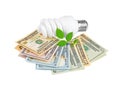 Energy saving light bulb, money and plant Royalty Free Stock Photo