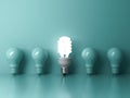 Energy saving light bulb , one glowing compact fluorescent lightbulb standing out from unlit incandescent bulbs on green Royalty Free Stock Photo