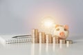 Energy saving light bulb with piggy bank and stacks of coins Royalty Free Stock Photo