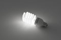 Energy saving light bulb, save energy light on Royalty Free Stock Photo