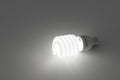 Energy saving light bulb, save energy light on Royalty Free Stock Photo