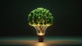 Energy saving light bulb and save world concept, sustainable development. Ecology concept