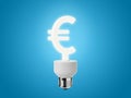 Energy Saving Light Bulb shaped as a Euro Sign