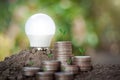Energy saving light bulb on soil and money stacking of coins with plant growing on top, light natural background Royalty Free Stock Photo
