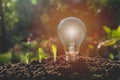 Energy saving light bulb and tree growing Royalty Free Stock Photo