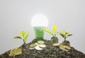Energy saving light bulb and tree growing on stacks of coins on Royalty Free Stock Photo