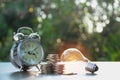 Energy saving light bulb and tree growing on stacks of coins on Royalty Free Stock Photo