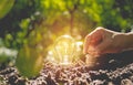 Energy saving light bulb and tree growing on stacks of coins Royalty Free Stock Photo