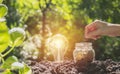 Energy saving light bulb and tree growing on stacks of coins Royalty Free Stock Photo