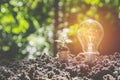 Energy saving light bulb and tree growing on stacks of coins Royalty Free Stock Photo