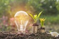 Energy saving light bulb and tree growing on stacks of coins Royalty Free Stock Photo