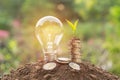 Energy saving light bulb and tree growing on stacks of coins on Royalty Free Stock Photo