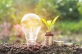 Energy saving light bulb and tree growing on stacks of coins Royalty Free Stock Photo