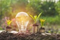 Energy saving light bulb and tree growing on stacks of coins Royalty Free Stock Photo