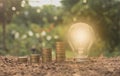 Energy saving light bulb and tree growing on stacks of coins Royalty Free Stock Photo