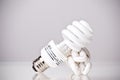 Energy saving light bulbs Royalty Free Stock Photo