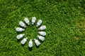 Energy saving light bulbs on green grass Royalty Free Stock Photo