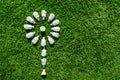 Energy saving light bulbs on green grass