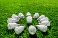 Energy saving light bulbs on green grass