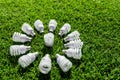 Energy saving light bulbs on green grass