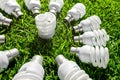 Energy saving light bulbs on green grass Royalty Free Stock Photo