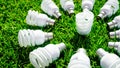 Energy saving light bulbs on green grass Royalty Free Stock Photo