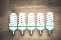 Energy saving light bulbs on the wood background. Royalty Free Stock Photo