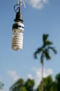Energy saving light old bulbs Royalty Free Stock Photo