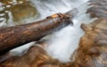 Energy of nature / Rapid forest stream with log Royalty Free Stock Photo