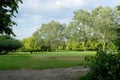 Enfield town park, beautiful tall trees