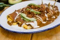 Enfrijoladas mexican enchiladas with beans, traditional food of Mexico gastronomy