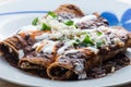 Enfrijoladas, Vegetarian Mexican Cuisine, Typical Antojitos Easy Meals