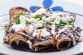 Enfrijoladas, Vegetarian Mexican Cuisine, Typical Antojitos Easy Meals